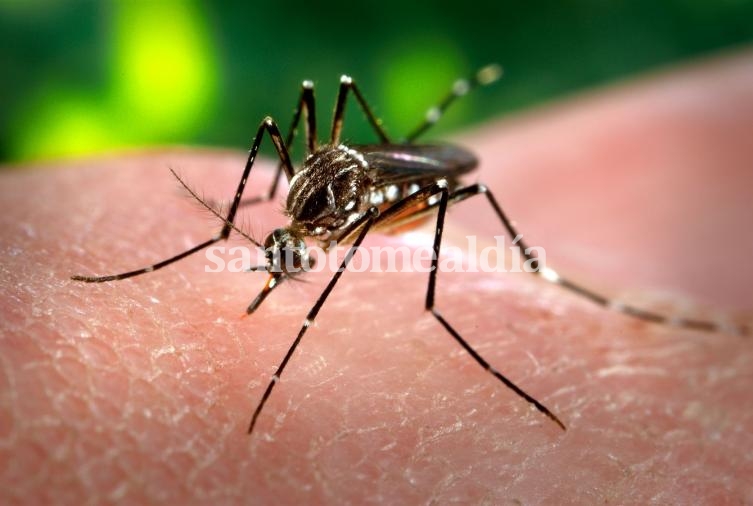 En Santa Fe se realiza una campaña de fumigación contra el mosquito del dengue.