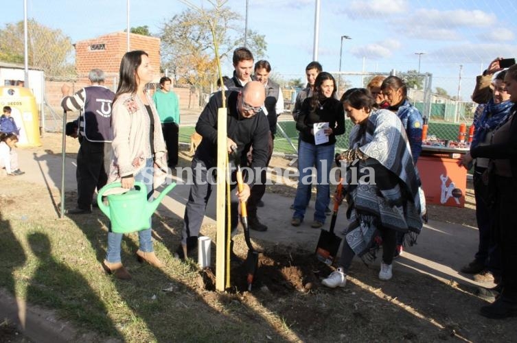 Plantaron árboles entorno del edificio NIDO de Coronel Dorrego.