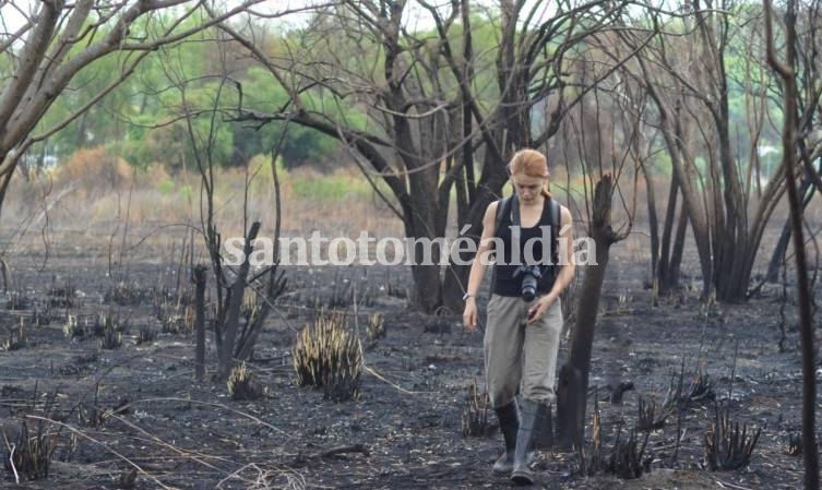 Fuego en Paraná medio: un estudio devela la degradación de ecosistemas