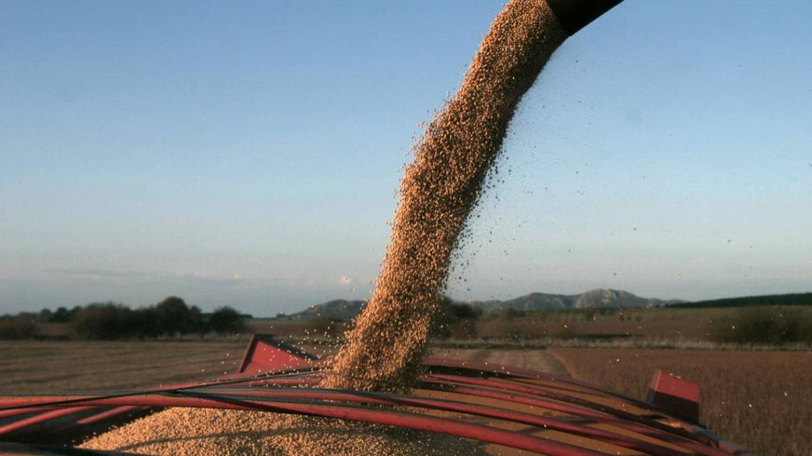El Gobierno restableció “de manera extraordinaria y transitoria”, el Programa de Incremento Exportador (PIE) para la soja.