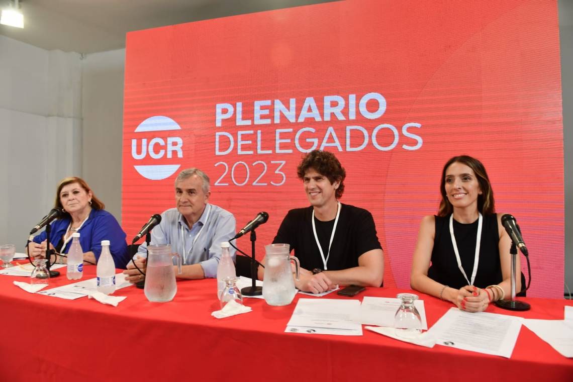 Martín Lousteau es el nuevo presidente del Comité Nacional de la UCR