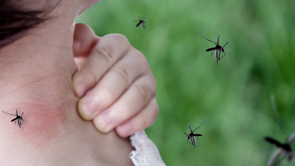 Se desarrollan acciones conjuntas para prevenir el dengue entre vecinos y agentes sanitarios. (Foto: Télam)