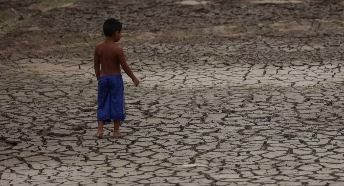 La sequía también causa estragos en Brasil. (Foto Reuters)