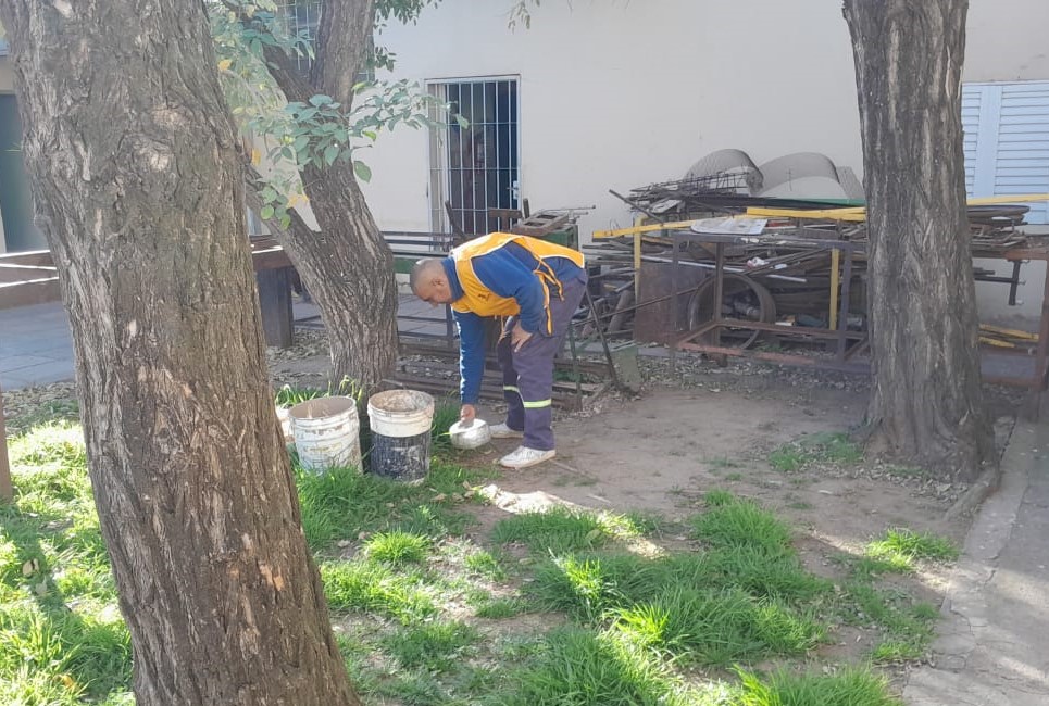 Prevención del dengue: refuerzan los operativos de descacharrado en escuelas durante el receso