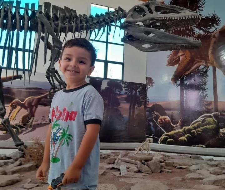 Condenan a un anestesista que se distrajo con el celular y provocó la muerte de un nene