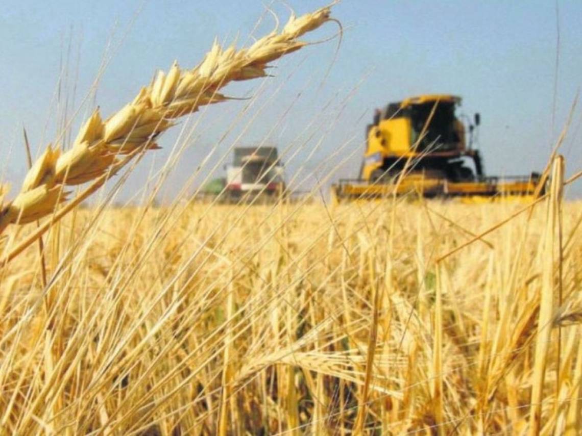 Con impulso del agro, la actividad económica cerró 2025 con un alza del 4,4%