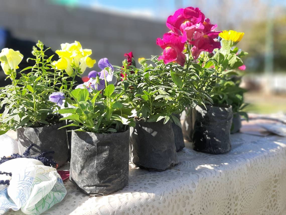Eco Canje: cronograma previsto para el mes de mayo