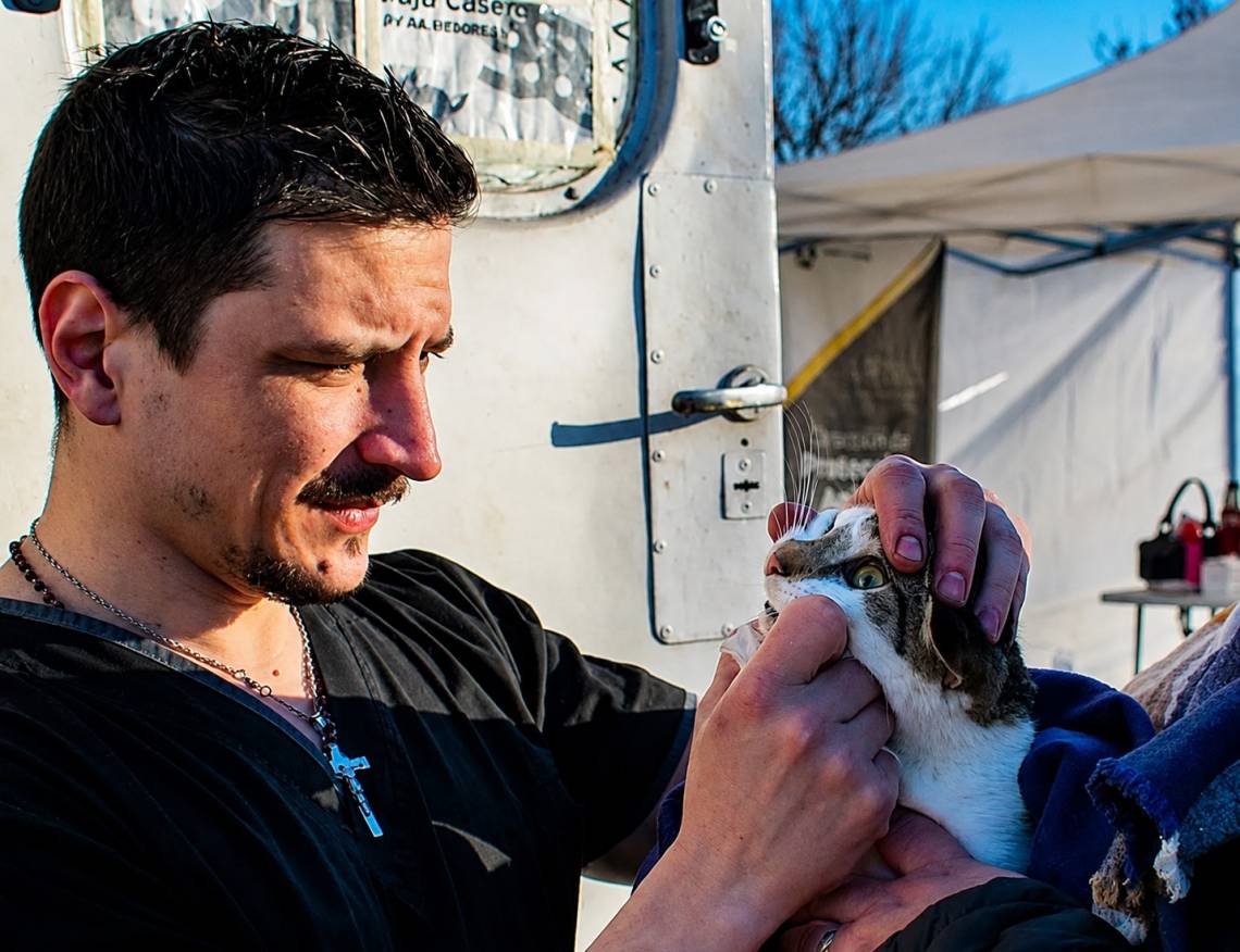Más de 450 mascotas recibieron atención veterinaria gratuita durante junio