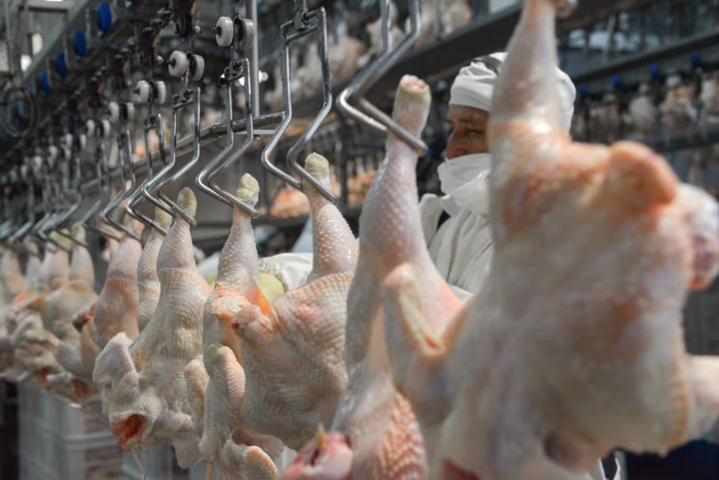 El consumo de pollo superó al de carne vacuna y marcó un récord histórico en la Argentina