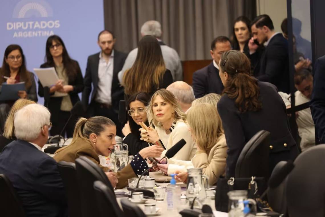 Tensión en Diputados por el ajuste en discapacidad incluido en el Presupuesto 2027