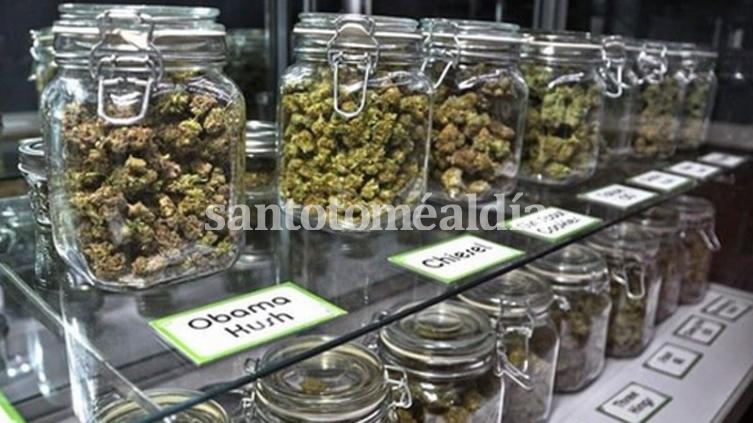 Se promulgó la ley del uso medicinal del aceite de cannabis