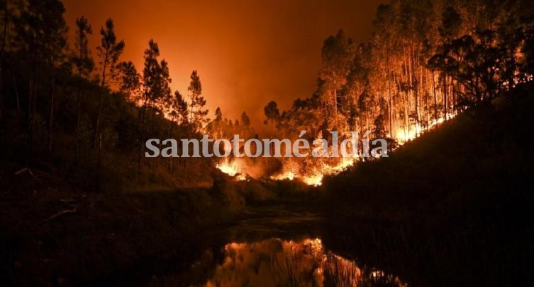Incendio forestal en Porgual.