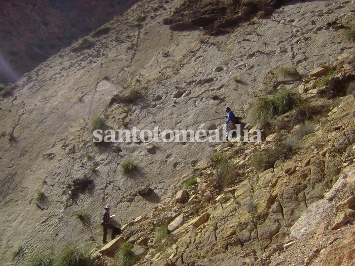 Hallan en la Quebrada de Humahuaca huellas de dinosaurios de unos 66 millones de años de antigüedad