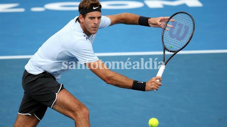 Juan Martín del Potro perdió en la final del ATP de Auckland