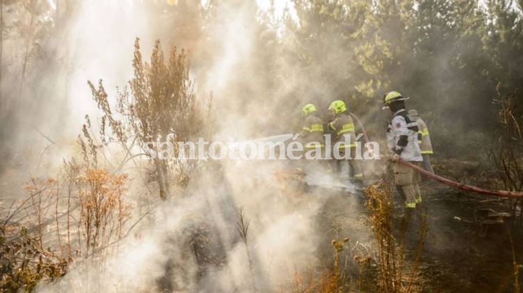 26 bomberos murieron en un incendio forestal en el suroeste de China