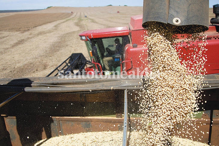 Cae el precio de la soja y complica las cuentas del gobierno