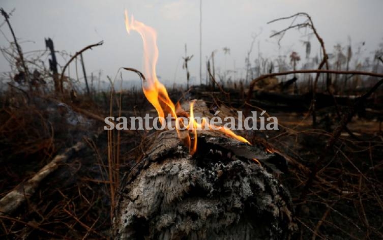 Un tramo de la selva amazónica después de un incendio en Boca do Acre, estado de Amazonas, Brasil. (Foto: Reuters)