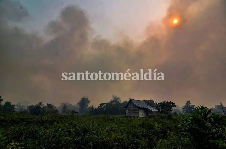 Incendios en Indonesia: aire contaminado, escuelas cerradas y el Gran Premio de F1, en duda