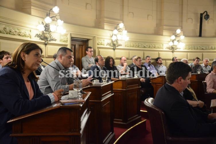 Daniela Qüesta participó de la reunión en la Cámara de Senadores de la Provincia. (Foto: Mario Galoppo)