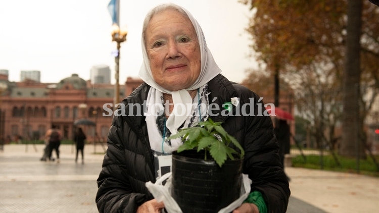Nora Cortiñas, 89 años de lucha y ternura. (Foto: Tiempo Argentino)