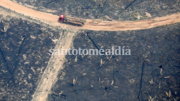 Un camión en una parcela deforestada del Amazonas en Boca do Acre, Brasil. (Foto: Reuters)