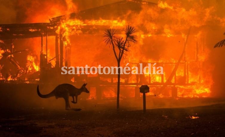 Se elevó a 29 el número de muertos por los incendios en Australia