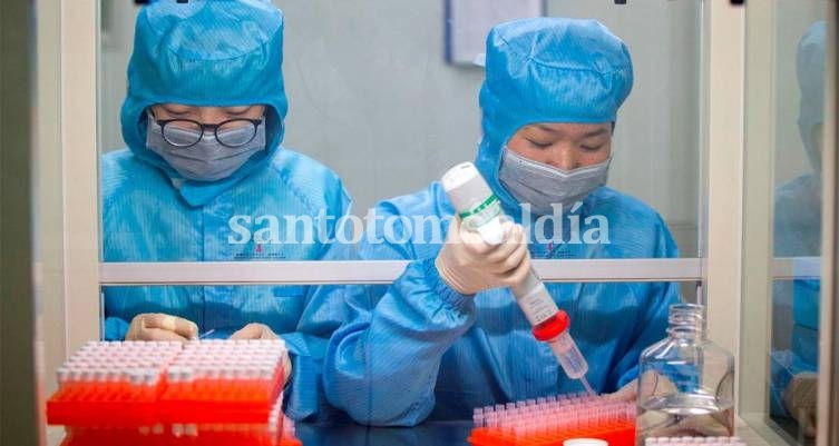 Buscan una vacuna contrarreloj en China. (Foto: NA)