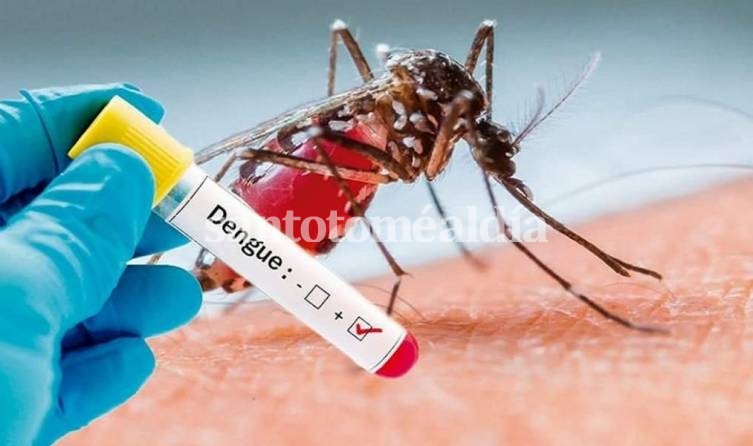 Se confirmó un nuevo caso de dengue en nuestra ciudad