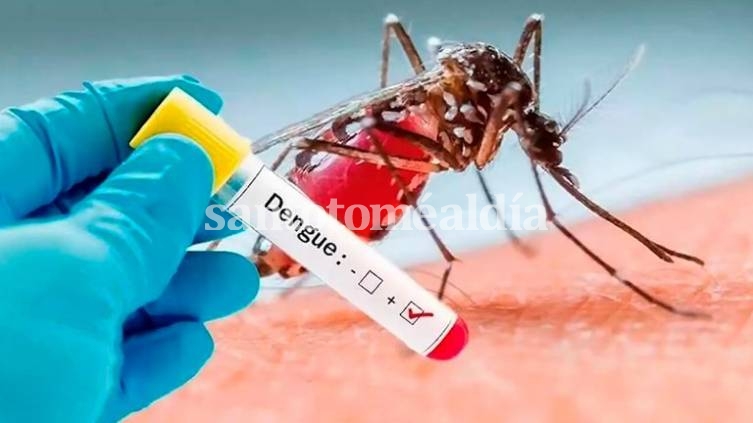 Hacia finales de marzo, la cantidad de casos de dengue confirmados en la provincia ascendía a 633.
