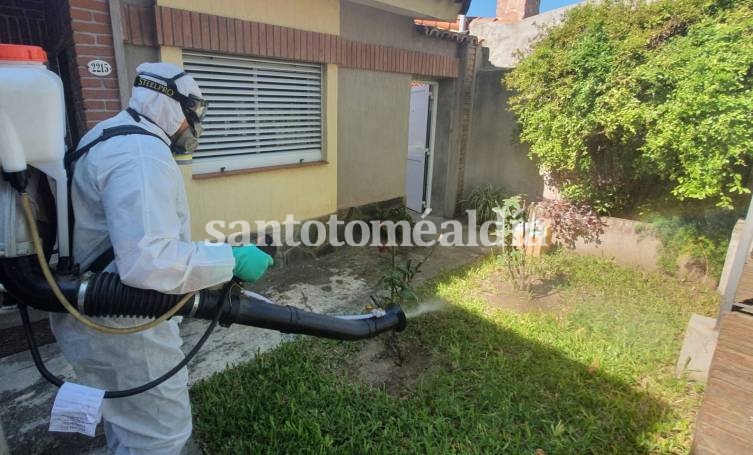 Confirmaron dos casos de dengue autóctono en Santo Tomé