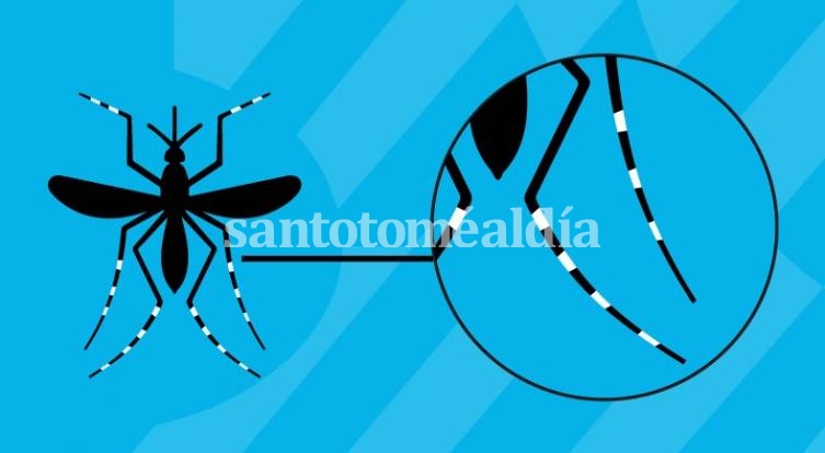 Dengue: síntomas y medidas preventivas