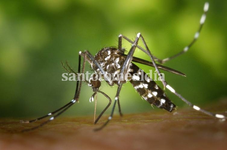 Se registran 1580 casos confirmados de dengue en la provincia