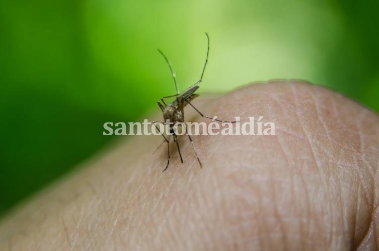 Dengue: una radiografía de la espacialidad del brote en la provincia de Santa Fe