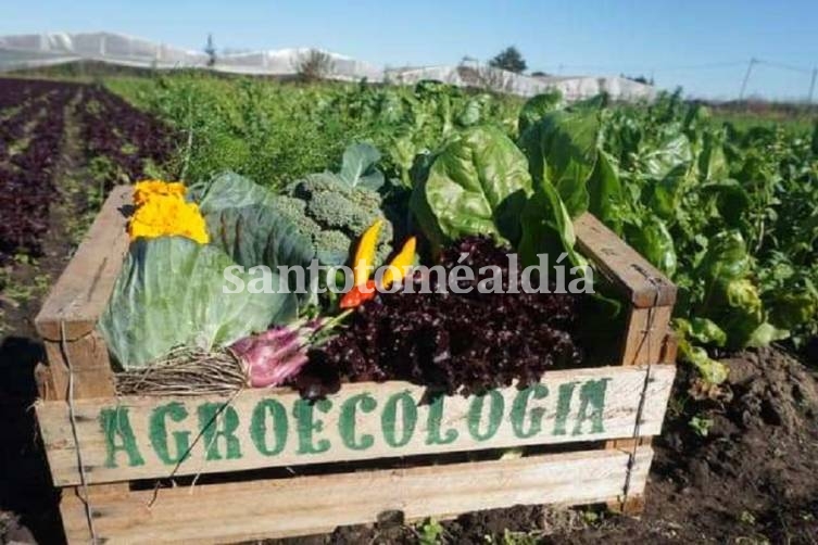 Lifschitz impulsa ley de agricultura periurbana para fortalecer los cinturones verdes de las localidades santafesinas