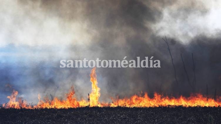 Primer reporte oficial: son 11 las provincias con incendios y el 95% de ellos por acciones humanas