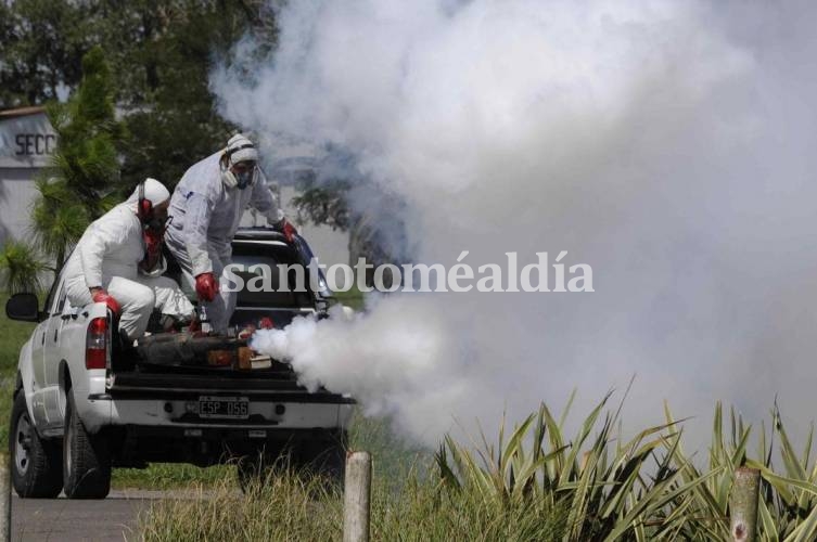 Dengue: cuestionan la efectividad de las campañas de fumigación en la vía pública