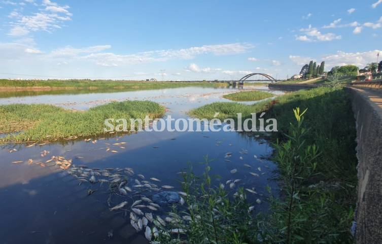 Según indicaron, los niveles de agroquímicos y metales pesados detectados están dentro de los valores históricos del río Salado.