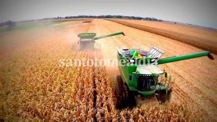 El Ministerio de Agricultura levantó la suspensión de las exportaciones de maíz que regía hasta el 1 de marzo.
