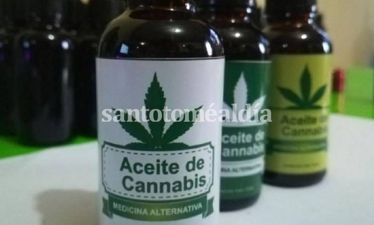 Reglamentaron el registro de autocultivo de cannabis medicinal