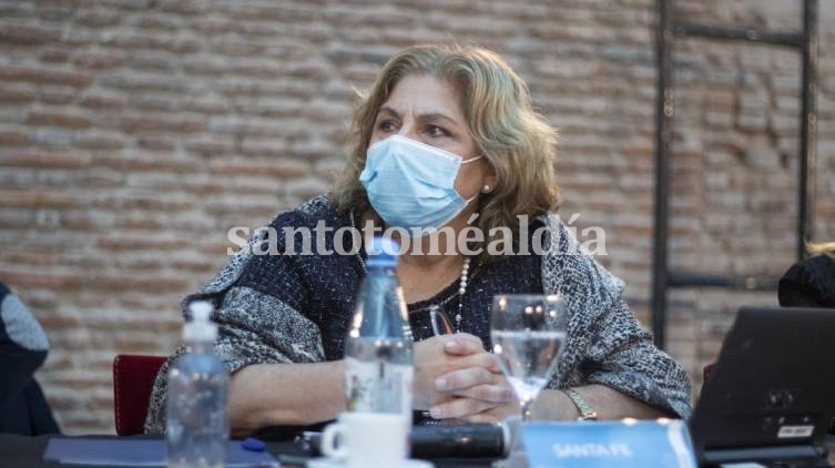 Martorano participó del Consejo Federal de Salud junto a la ministra nacional Carla Vizzotti