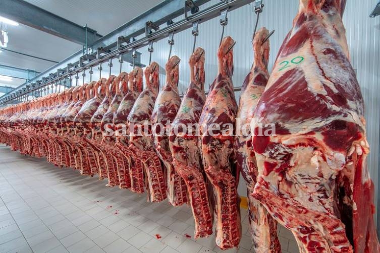 Se reabrió la exportación de carne a China.