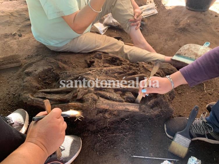 Nuevo hallazgo arqueológico en Villa Adelina Este 