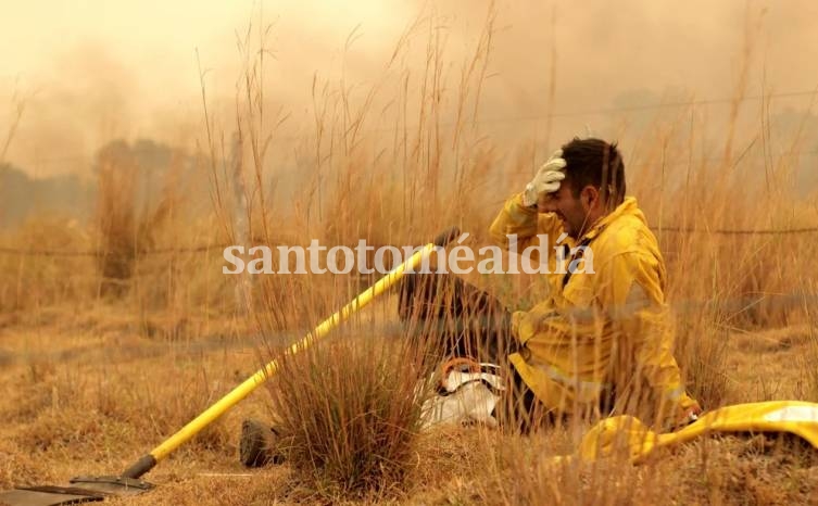 Incendios en Corrientes: Ya son casi 800.000 las hectáreas afectadas