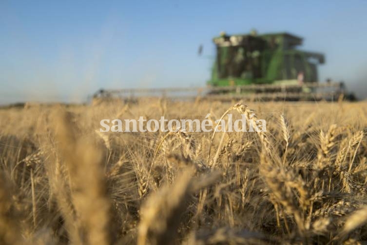 Córdoba y Santa Fe se manifestaron en contra de la suba de retenciones de la harina y el aceite de soja dispuesta por el gobierno nacional.