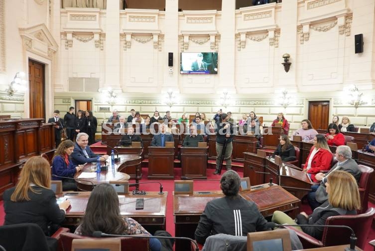 La iniciativa de la diputada socialista Gisel Mahmud busca promover y estimular la práctica del deporte femenino.