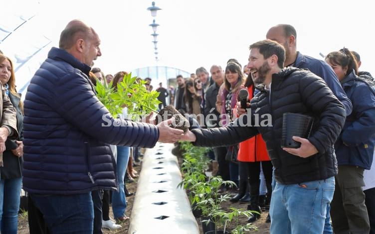 Perotti encabezó el acto de inicio del cultivo de cannabis medicinal a campo en la provincia