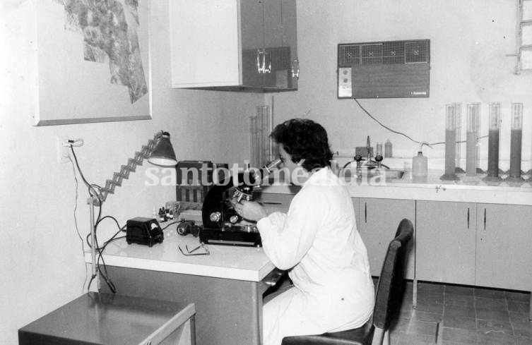 Hetty Ladis Regina Bertoldi de Pomar, destacada investigadora del CONICET desde 1968.  (Foto: UNL)