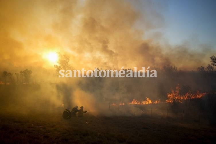 Alberto Fernández, sobre los incendios en el Delta: 