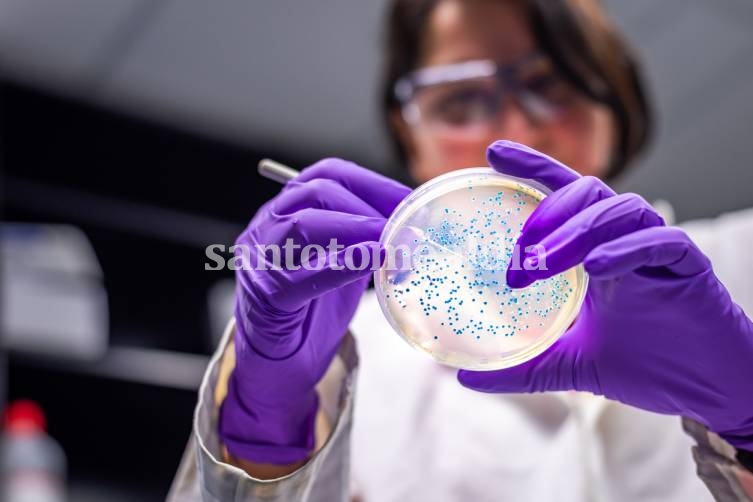 El Gobierno aclaró que en la provincia de Santa Fe no se registran casos de infección por Salmonella o Shigella