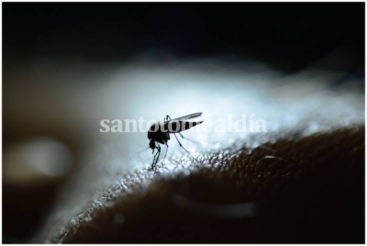 En el país ya hay más 28 mil casos de dengue 